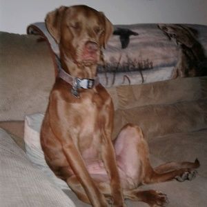 Meet your Posher, Kathy